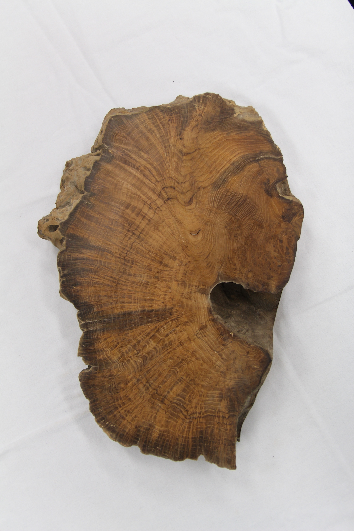 【鳥眼杢】 チーク 極上 415x280x48