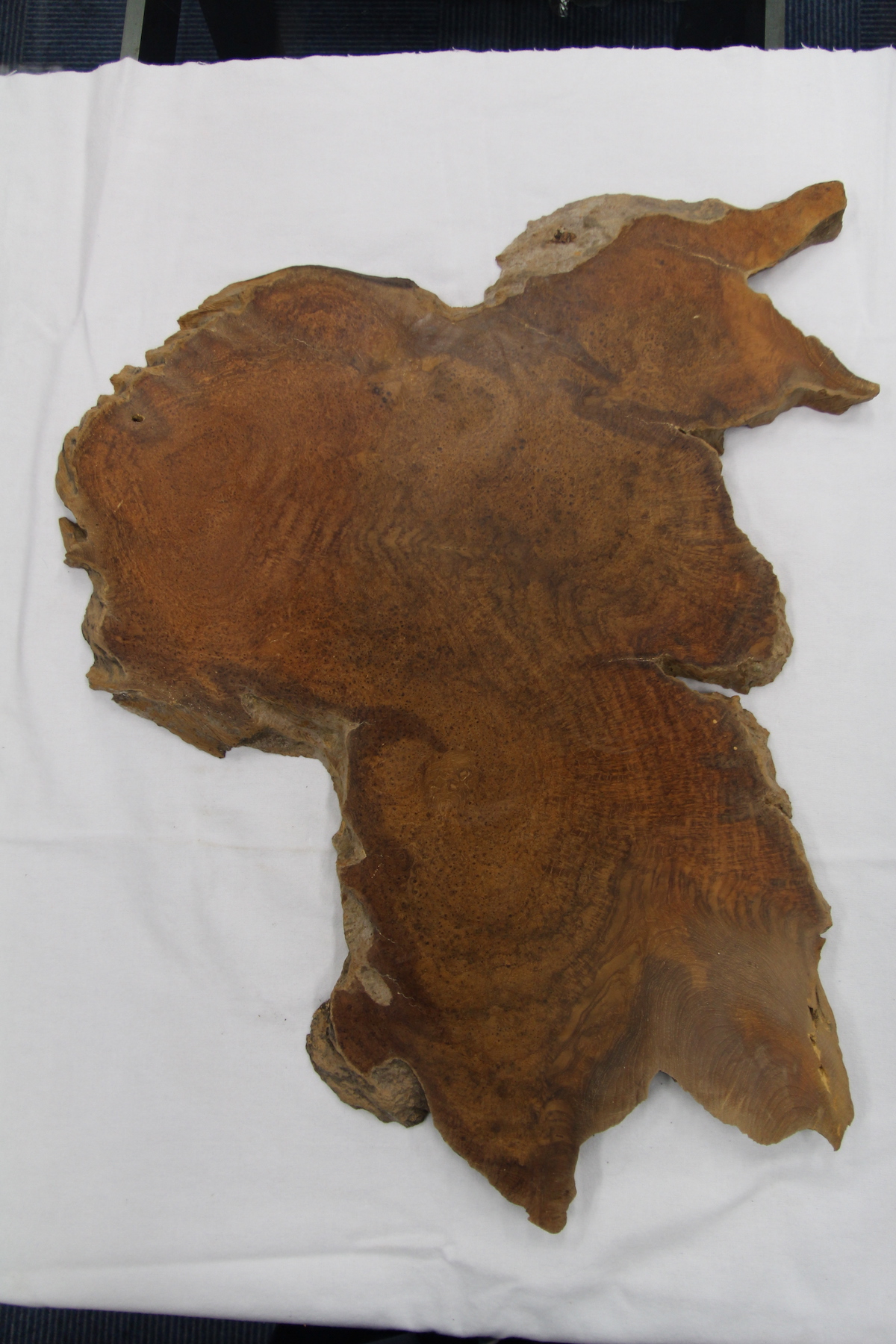 【鳥眼杢】 チーク 極上 700x700x22