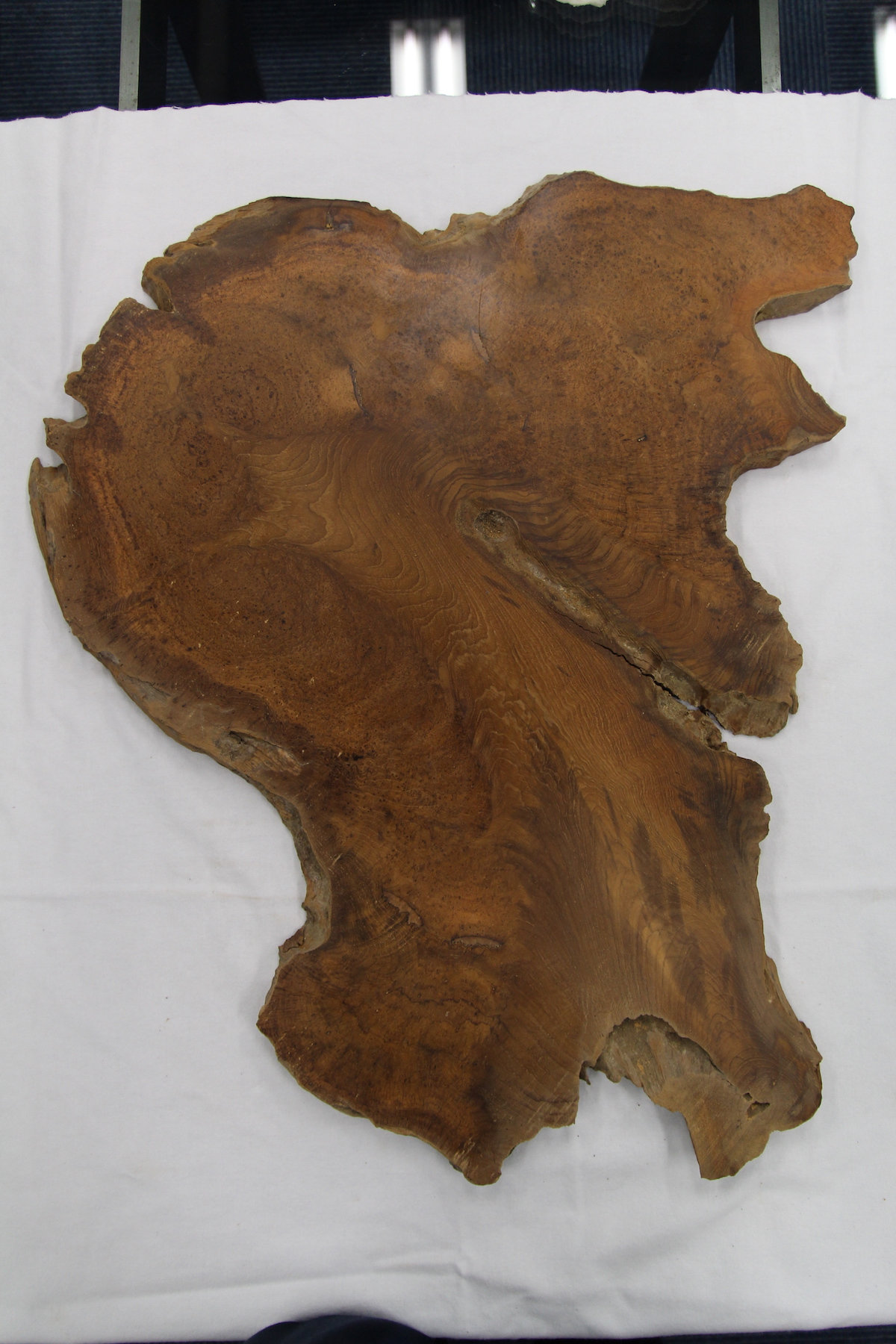 【鳥眼杢】 チーク 極上 400x323x22