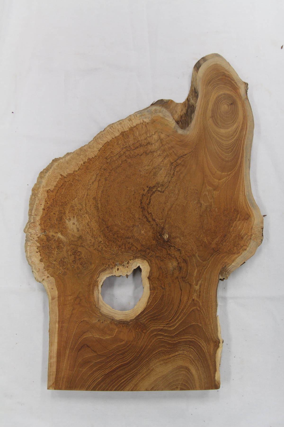 【鳥眼杢・シラタ】 チーク 極上 550x370x26