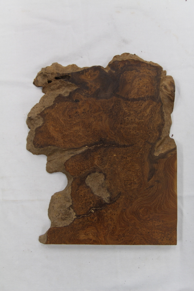 【鳥眼杢】 チーク 極上 545x630x23