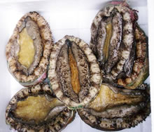 あわびコース（A）