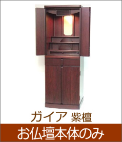 ʩ��