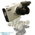 �ӥ����󡡥ݥ�ꥨ+�Х뼫ͳ�����2-3���ְ���˽в١�