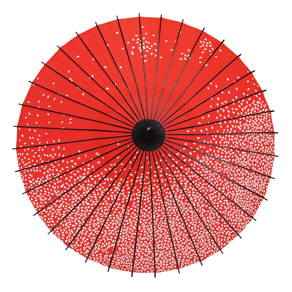 紙傘 満天桜 朱色 特選