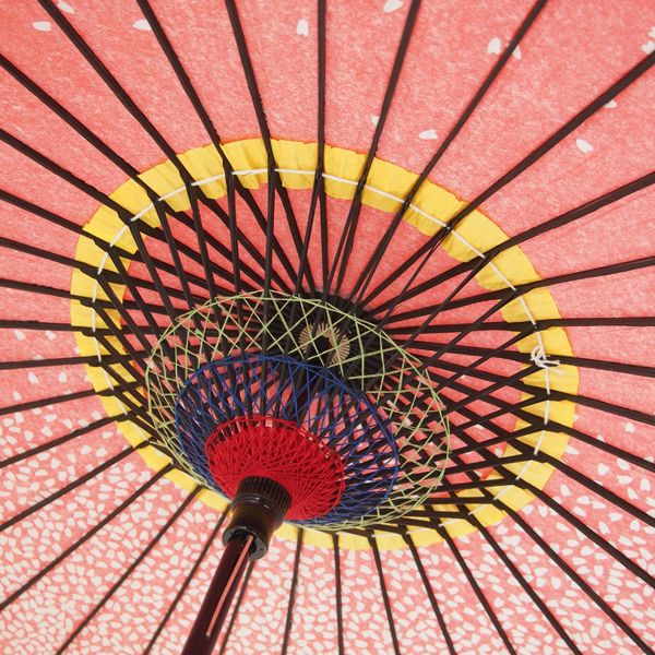 紙傘 桜渦 白地ピンク 特選