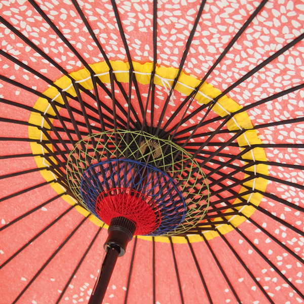 紙傘 満天桜 朱色 特選