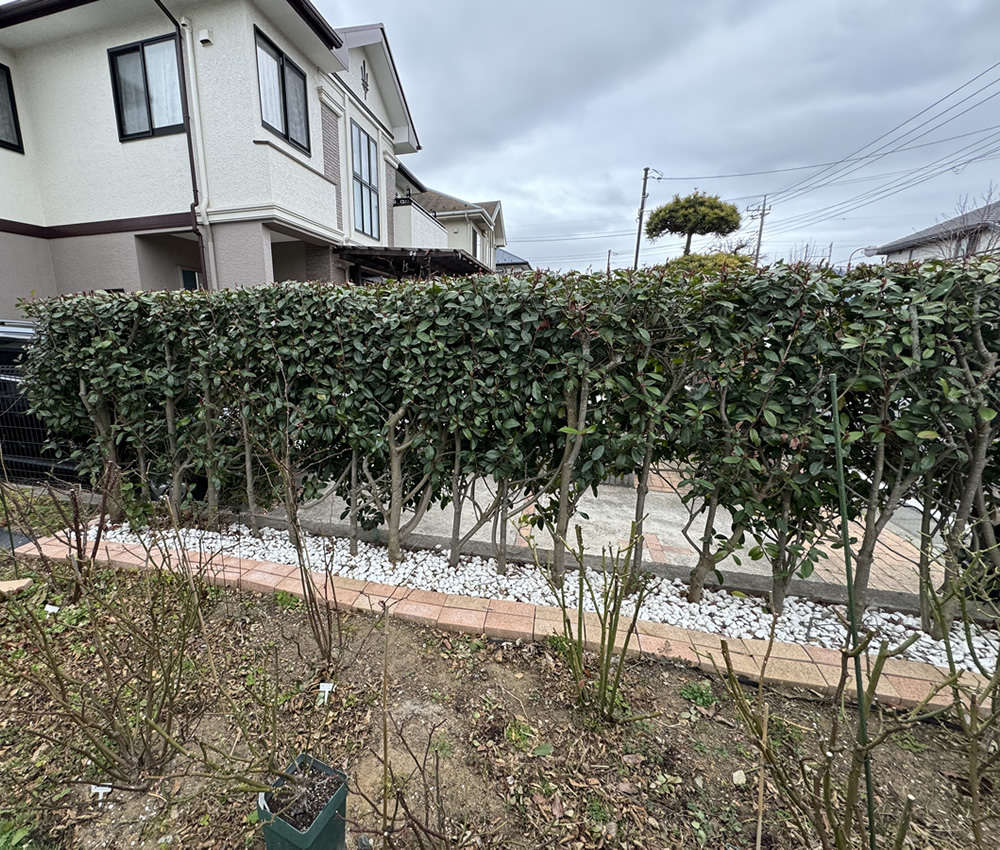 設置前のお庭