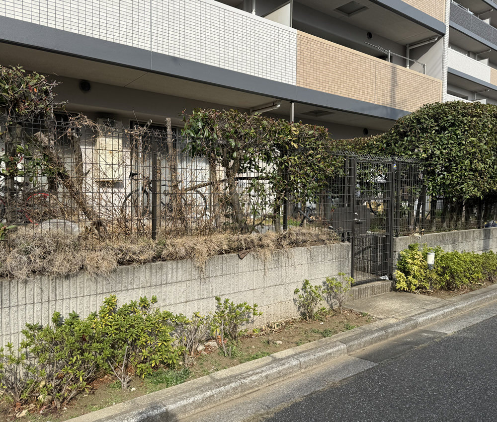 設置前のお庭