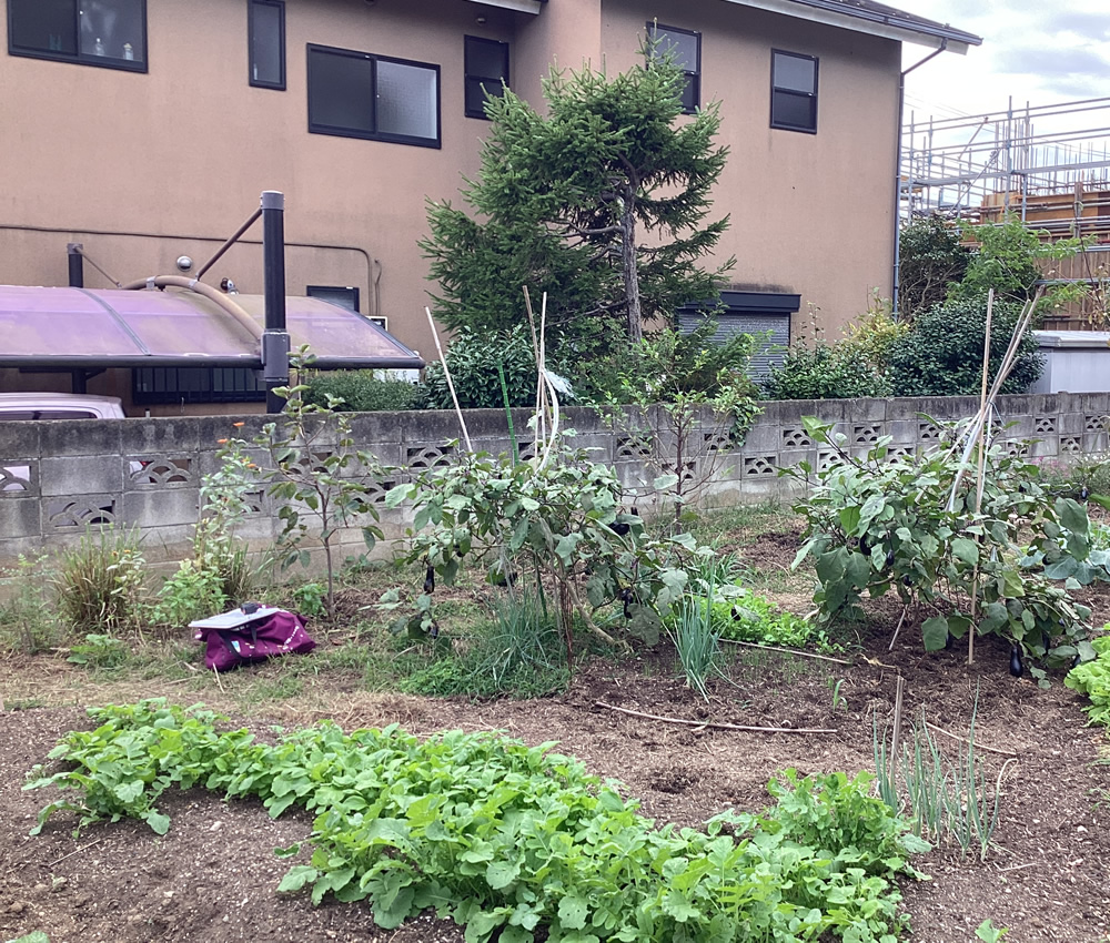 設置前のお庭