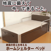 �ƥ�����Ρڥ饤�ե졼�С��ۥۡ��ॷ���륿���٥å� BEX-1