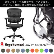 �ƥ�����Ρڥ饤�ե졼�С���Ergohuman/���르�ҥ塼�ޥ� EH-LAM