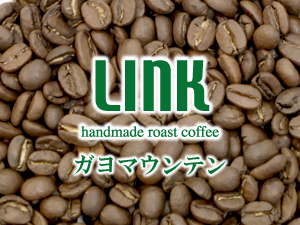 ガヨマウンテン