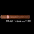���ȥ����� �쥸���� 140/20 [1724]