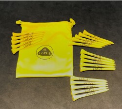 父の日GOLF  TEE　11