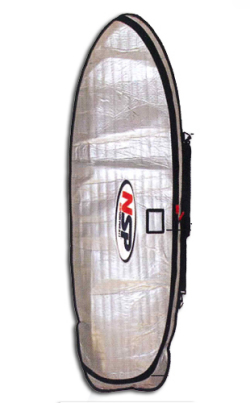2011nsp-case