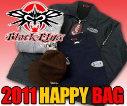 2012bf-hpbk2