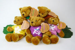 alohabear1