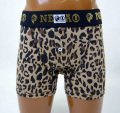 nestass-under-leo