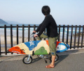 syonanbike