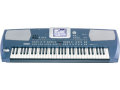 KORG Pa500�ʿ��ʺǽ���ʬ�ʡˡ�����̵����