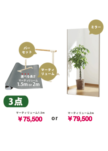 おうちでバレエセット(固定式) 家庭用バレエバースタンドセット4