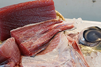美ら海マグロづくしセット上【上マグロ1ｋｇ・カマ・目玉・脳天・尾の身　各800ｇ】※受注後加工