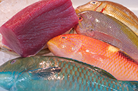 美ら海鮮魚セット上【鮮魚3ｋｇ・上マグロ1ｋｇブロック】