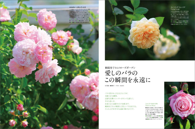 マイガーデン No.56