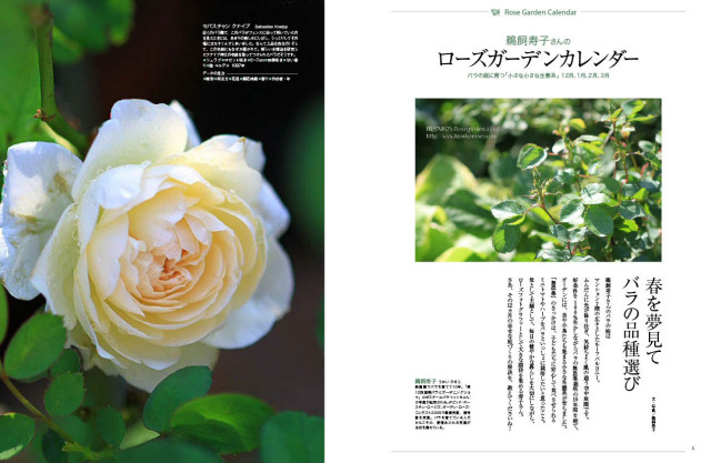 マイガーデン No.57