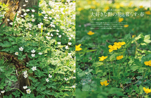 マイガーデン No.58