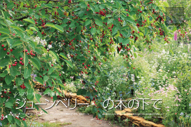 マイガーデン No.58