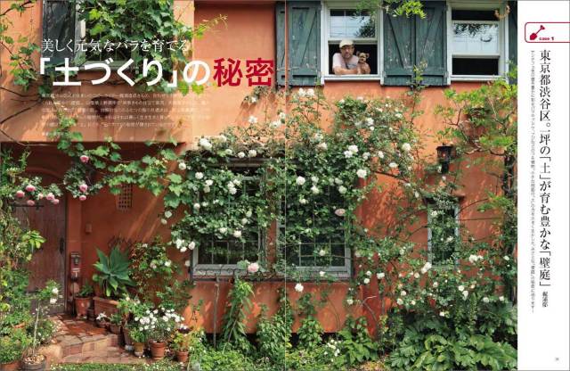 マイガーデン No.60