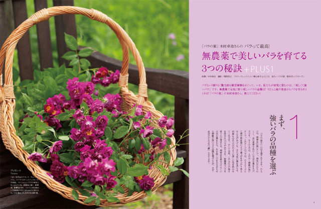 マイガーデン No.60