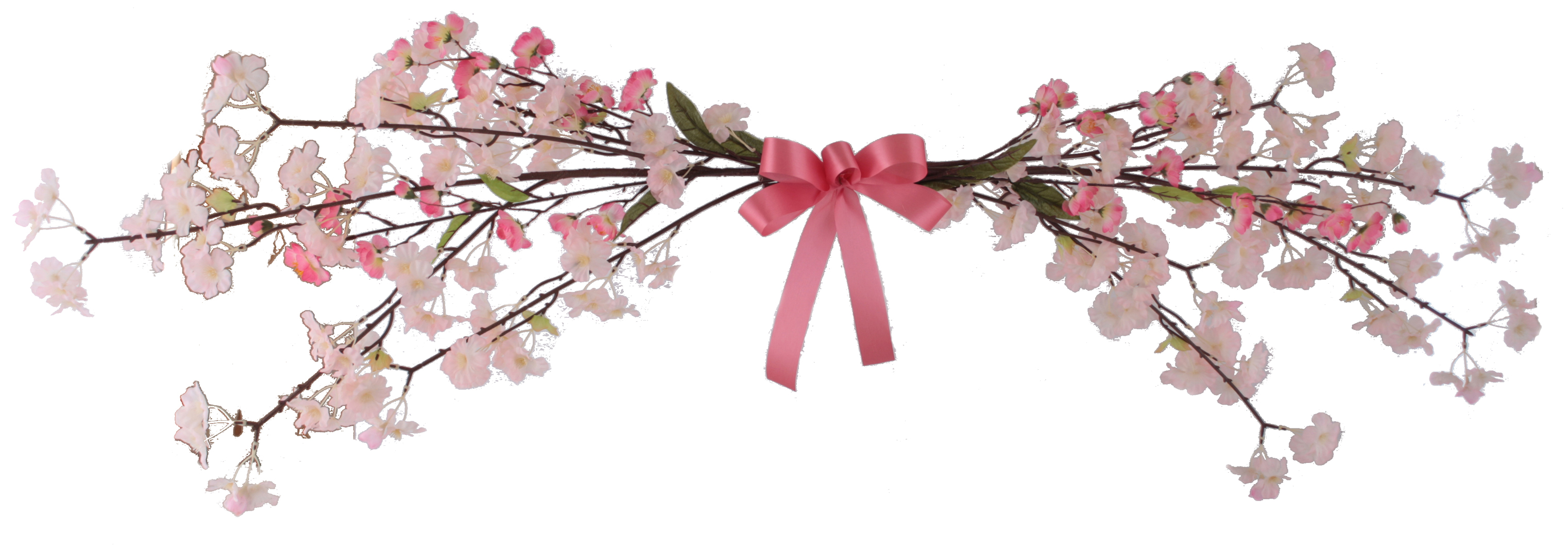 桜桃ハンガー