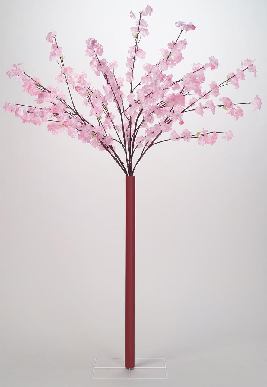 桜立木スタンド