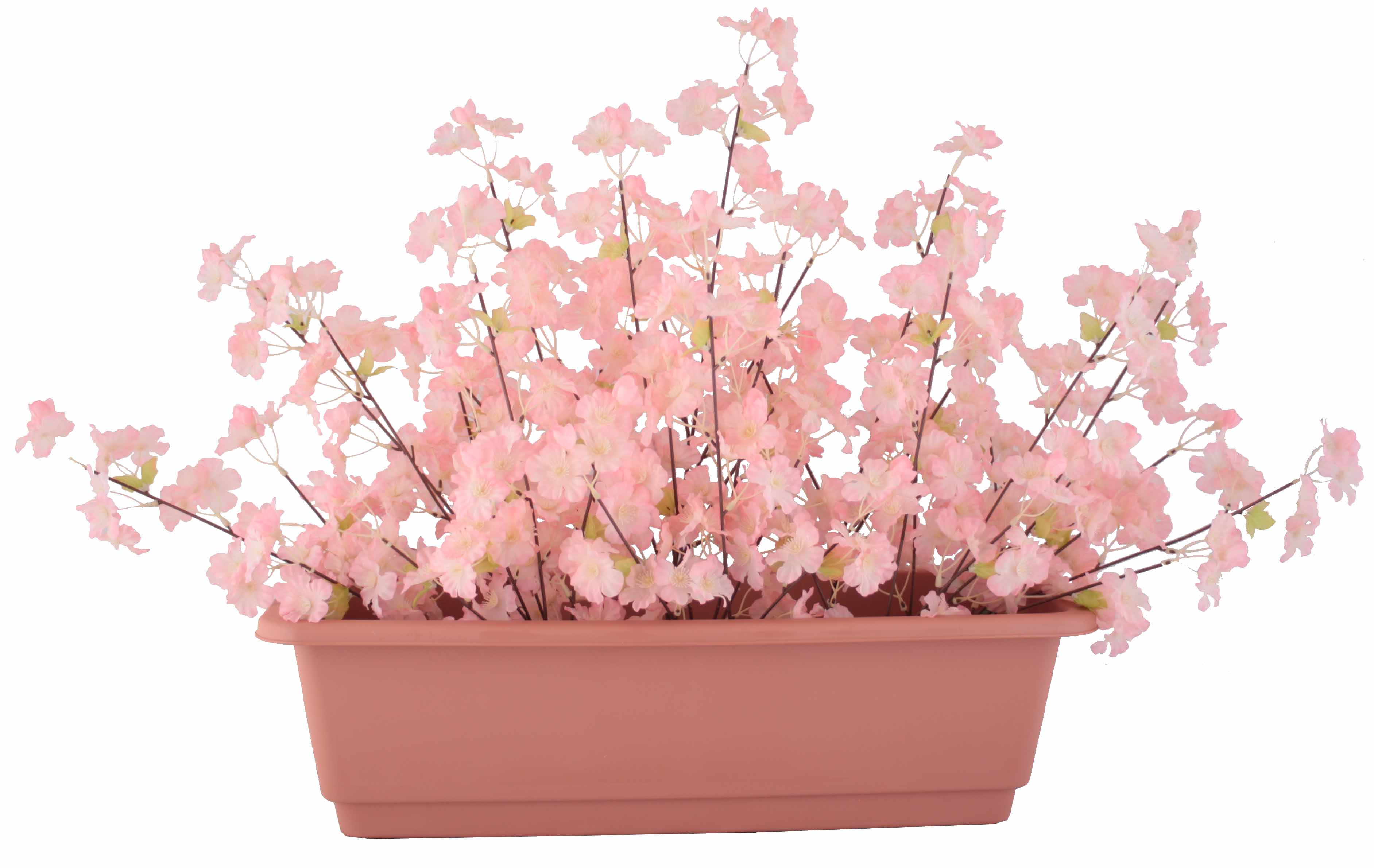 桜プランター