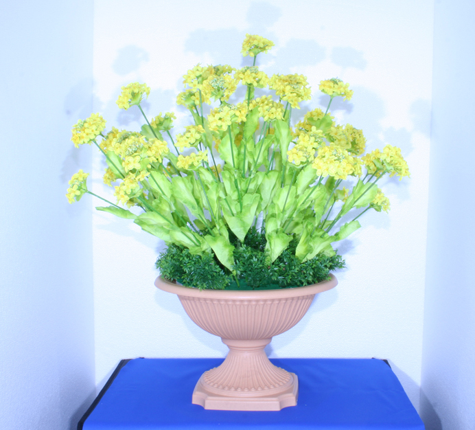 菜の花サイクルプランタ