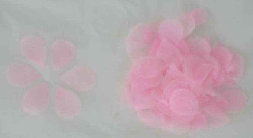 桜ふぶき 10g (約550枚)