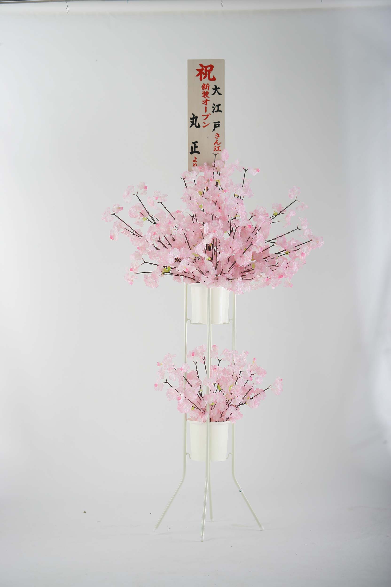 桜立花