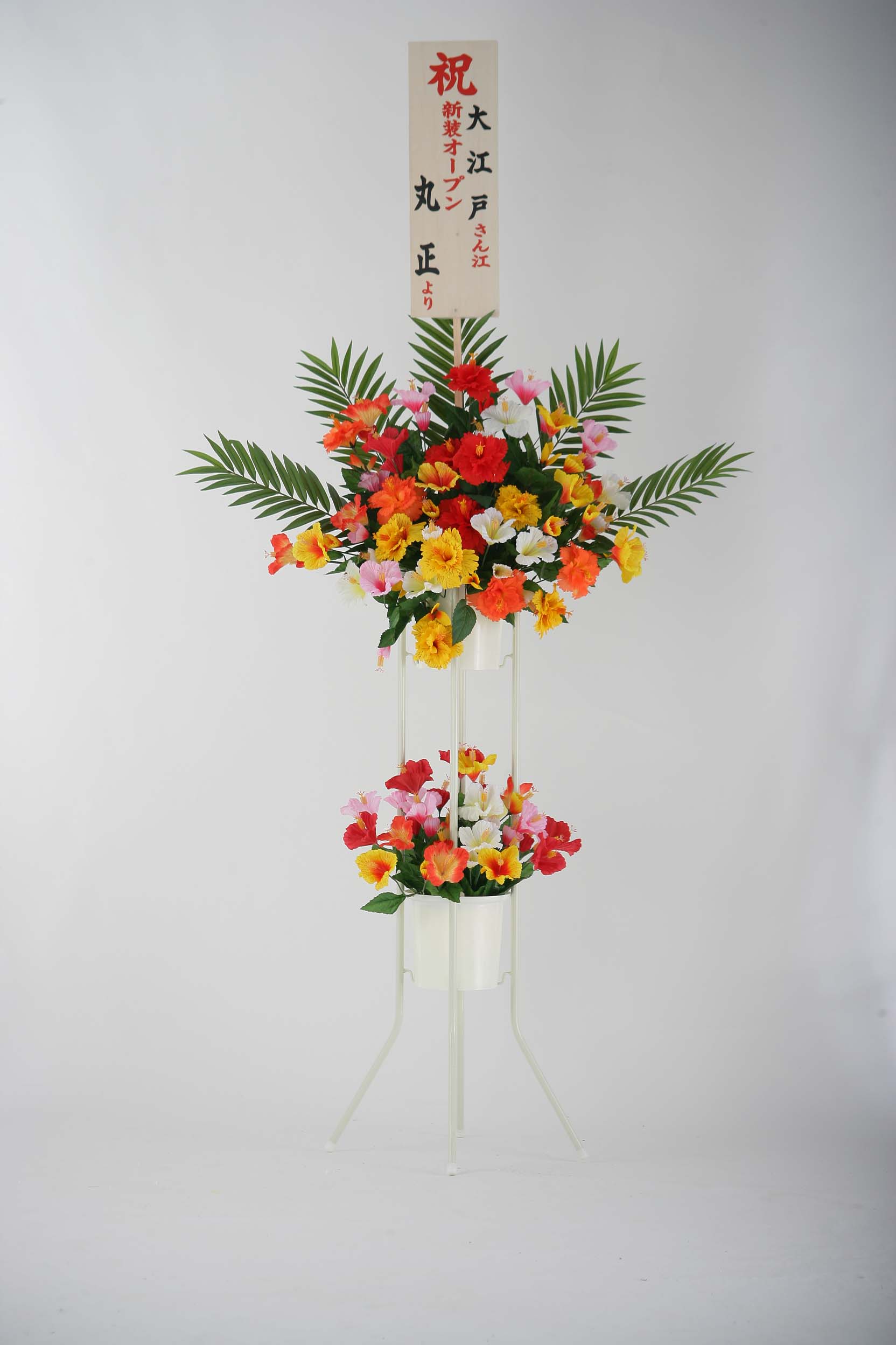 ハイビスカス立花