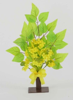 菜の花スタンド