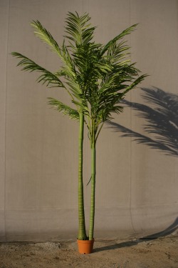 330cmパームプラント