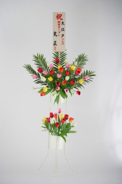 チューリップ立花