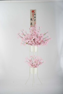桜立花