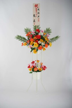 ハイビスカス立花