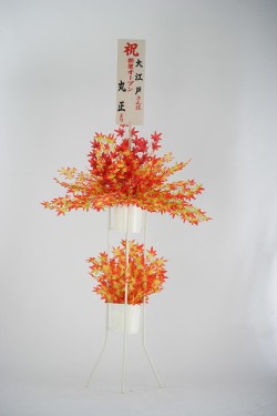 モミジ立花