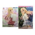 その着せ替え人形は恋をする Luminasta 喜多川海夢 -試着中- キラキラ、アフタースクール 2個セット