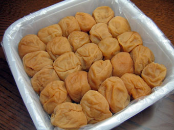 �����Ȥ��ž夲��̵ź���ߴ��ص�������ߤ��ߴ����������