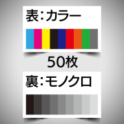 データ入稿名刺/表カラー裏モノクロ/50枚